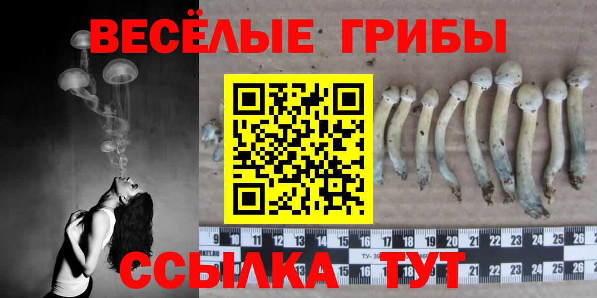 Псилоцибиновые грибы Psilocybine cubensis  Вход с VPN  Лесозаводск 
